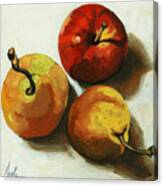 Down On Fruit - Pears And Apple Still Life Canvas Print
