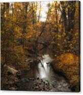 Down River Canvas Print