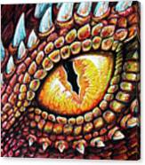 Dragon Eye Canvas Print