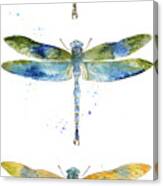 Dragonfly Bliss-jp3443 Canvas Print