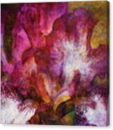 Dramatic White And Purple 0273 Idp_2 Canvas Print