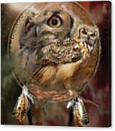 Dream Catcher - Spirit Of The Owl Canvas Print