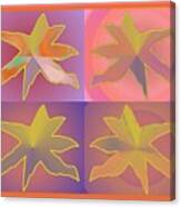 Dreamtime Starbirds Canvas Print