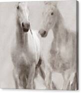 Dreamy Horses Canvas Print