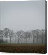 Drenthe After The Rain I Canvas Print