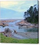 Driftwood Canvas Print