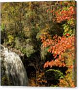 Dry Falls In North Carolina Canvas Print