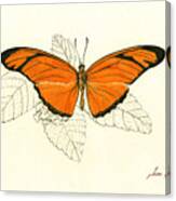 Dryas Iulia, Orange Julia Butterfly Canvas Print