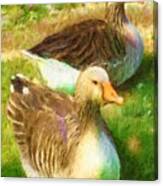 Gandering Geese Canvas Print