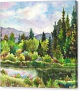 Duck Pond At Caribou Ranch Canvas Print