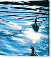 Ducks At Twilight Canvas Print