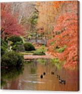 Ducks In The Pond Canvas Print