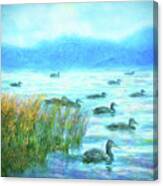 Ducks On Misty Morn - Lake In Boulder County Colorado Canvas Print