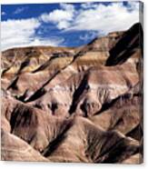 Dunes Of Arizona Canvas Print