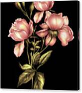 Dusky Peach Roses On Black Canvas Print