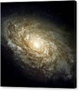 Dusty Spiral Galaxy Canvas Print