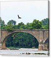 Eagle Above Interurban Bridge  2186 Canvas Print