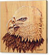 Eagle Img 2 Canvas Print
