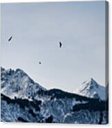 Eagles Over Mountains Canvas Print