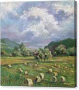 Early Summer Cutting Canvas Print