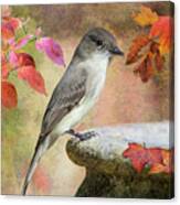 Eastern Phoebe In Autumn Canvas Print