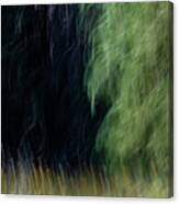 Edge Of The Forest Canvas Print