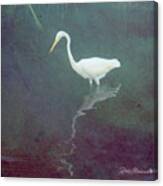 Egret Dreams Canvas Print