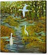 Egrets In The Marsh Canvas Print