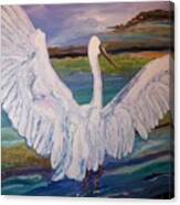 Egrets Canvas Print