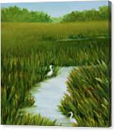 Egrets Respite Canvas Print