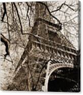 Eiffel Tower Through A Myriad Of Branches Paris France Sepia Canvas Print