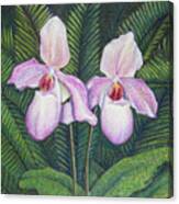Elegant Orchid Twins Canvas Print