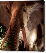 Elephant At Rainforest Cafe Canvas Print