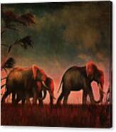 Elephants Walking Together Canvas Print