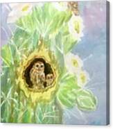 Elf Owls In Saguaro Cactus Canvas Print