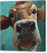 Elise The Cow Canvas Print