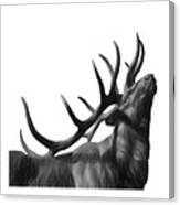 Elk In Black In White Canvas Print
