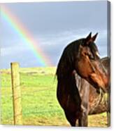 Ella And The Rainbows Canvas Print