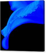 Emotion In Blue Canvas Print