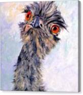 Emu Twister Canvas Print