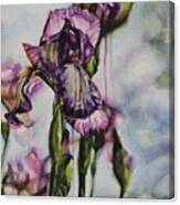 Enchanted Iris Garden Canvas Print