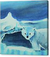Endangered Bears Canvas Print