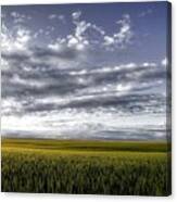 Endless Wheat Fields Canvas Print