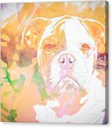 English Bulldog Wc Canvas Print