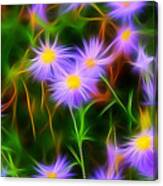 Essence Of Asters Canvas Print