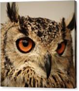 Eurasian Eagle Owl Portrait Canvas Print