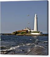 Evening At St. Mary's Lighthouse Canvas Print