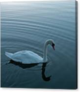 Evening Serenity Canvas Print