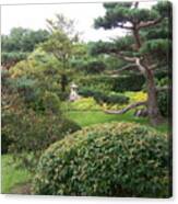 Evergreen In Japanese Garden Canvas Print