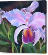 Exotic Pink Orchid Canvas Print
